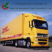 Cargo Ship TNT FedEx UPS DHL Aramex Amazon Express Freight Shipping Rates From China to Worldwide